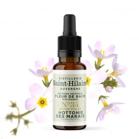 HOTTONIE DES MARAIS N°34 BIO