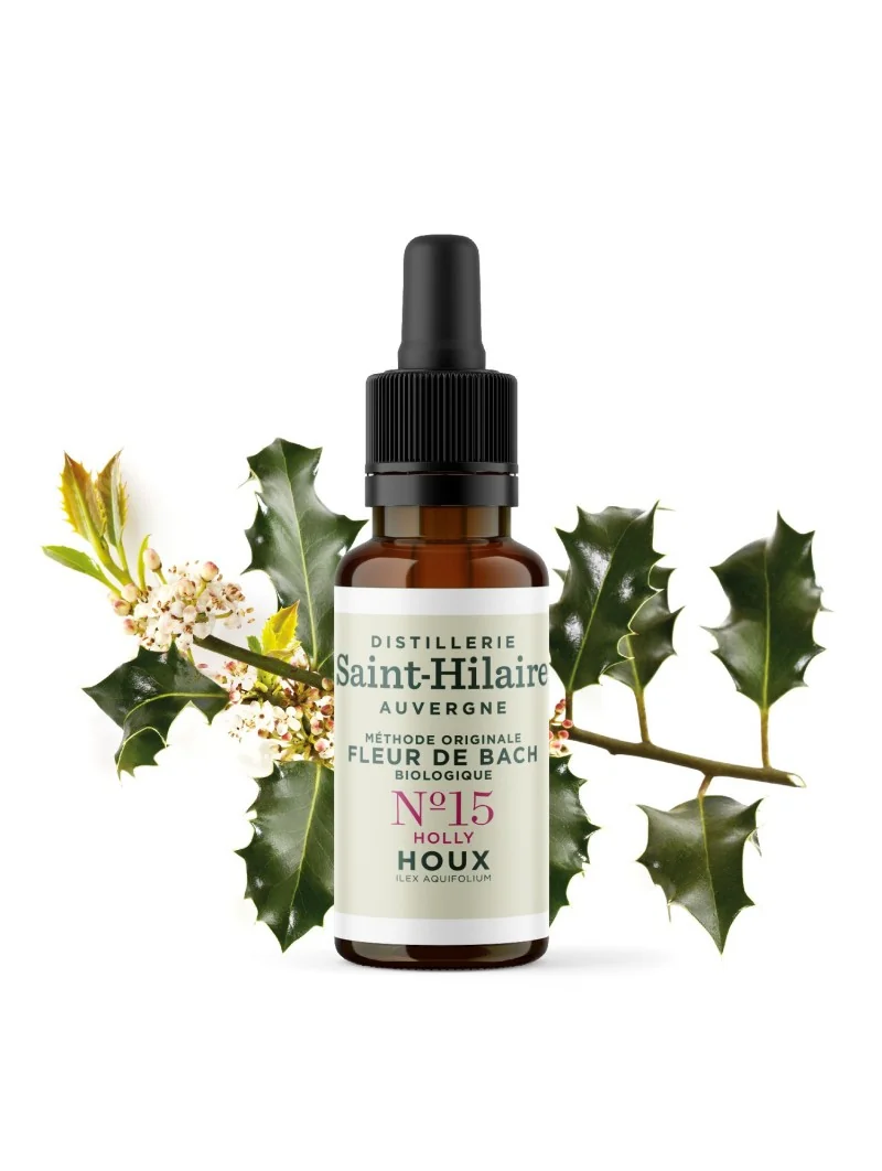 HOUX N°15 BIO – Image 3