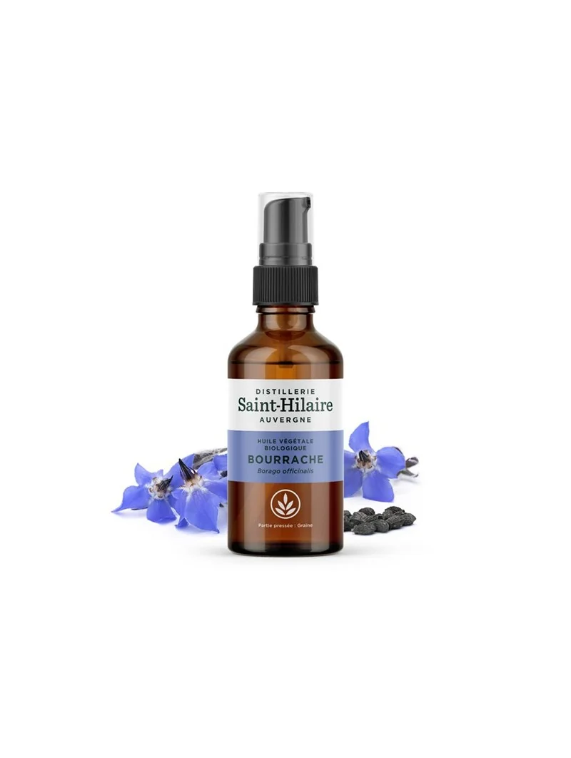 BOURRACHE – Image 2