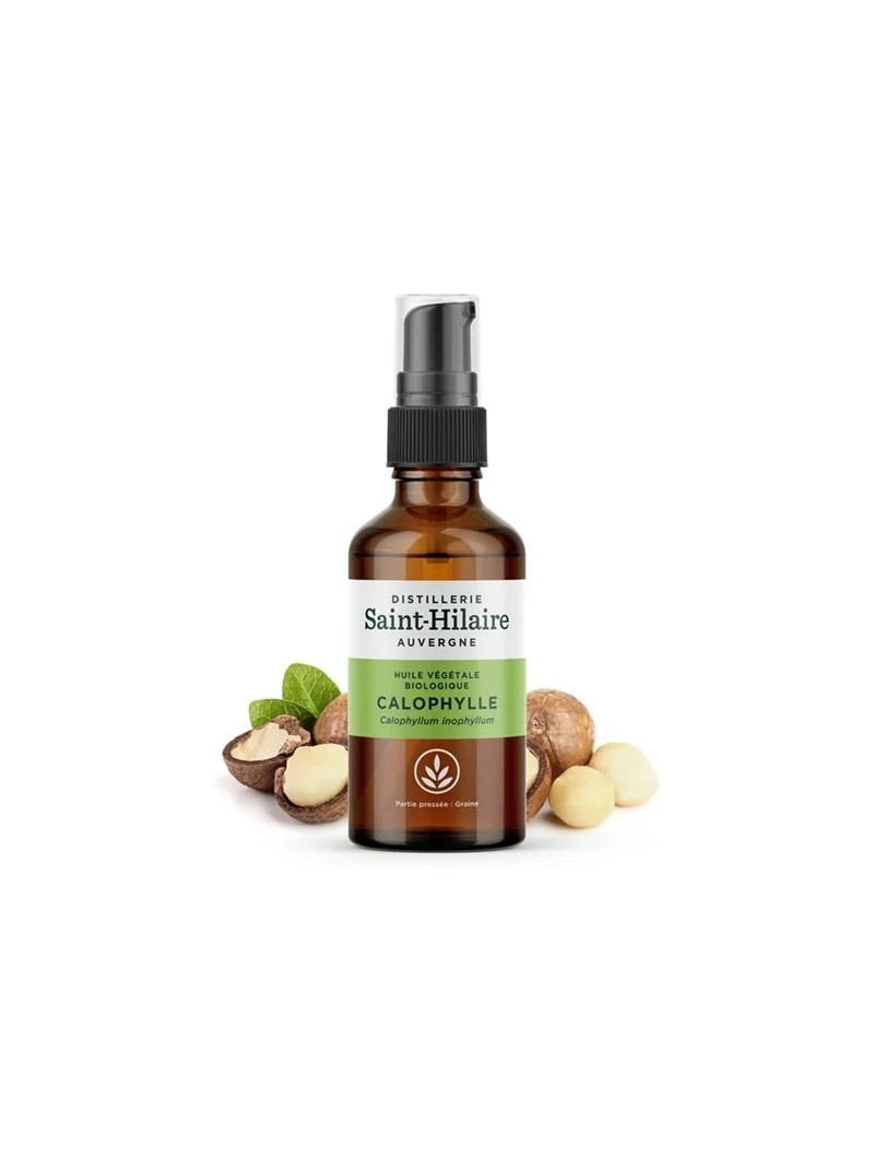 CALOPHYLLE – Image 2