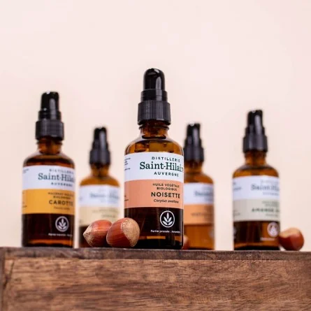 NOISETTE – Image 2