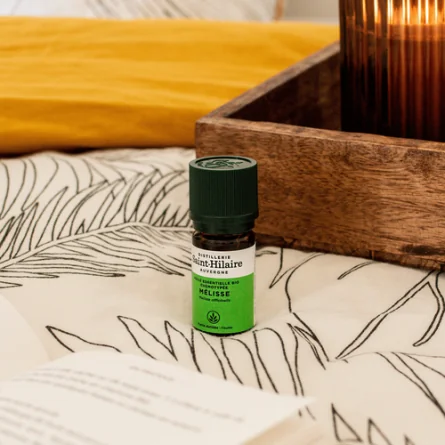 MÉLISSE – Image 2