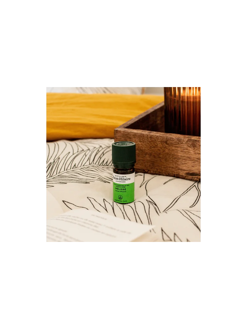 MÉLISSE – Image 4