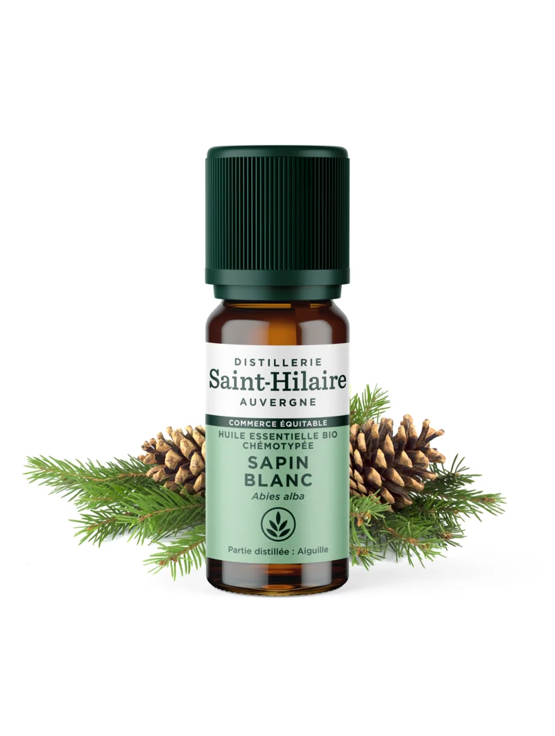 SAPIN BLANC – Image 3