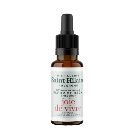 JOIE DE VIVRE – Image 2