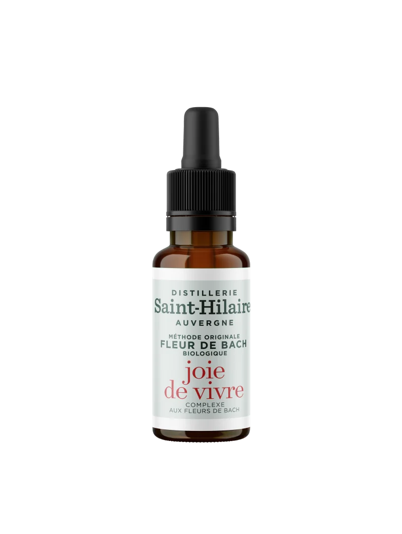 JOIE DE VIVRE – Image 4