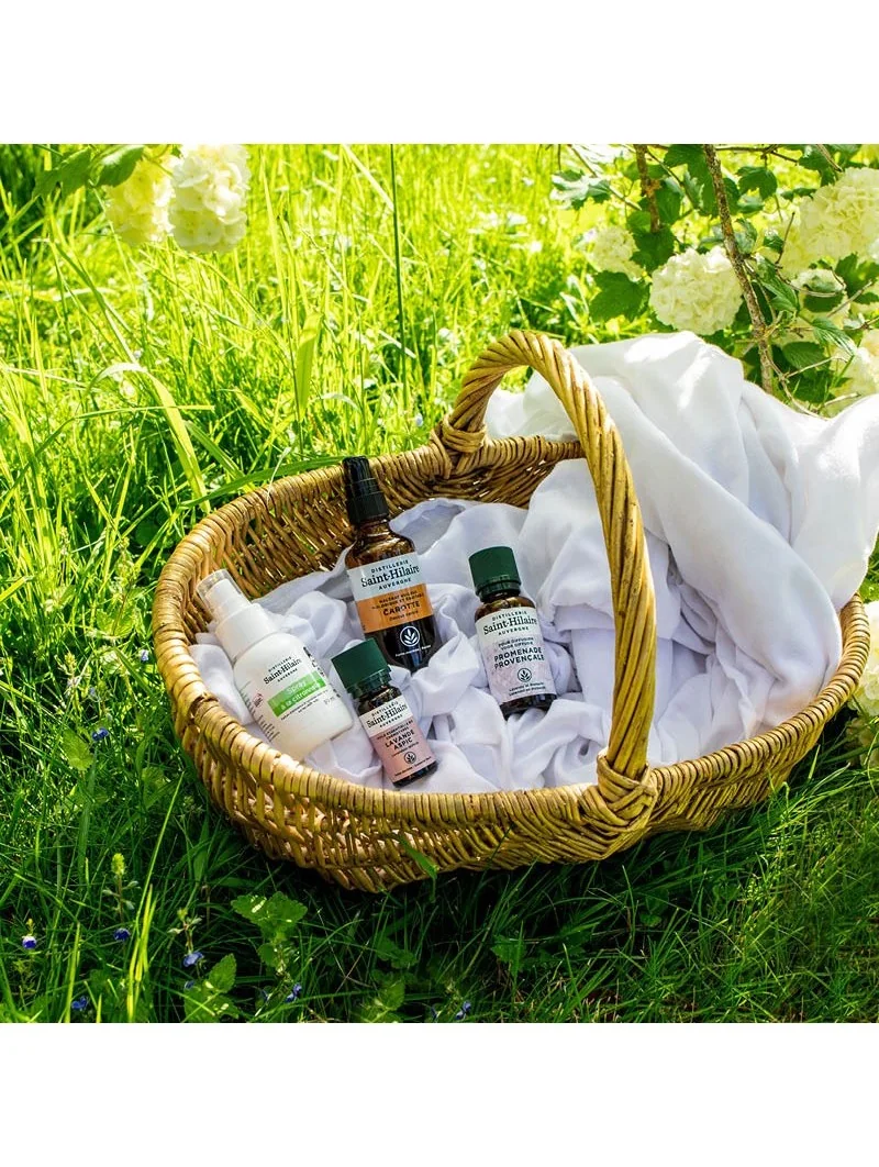 LAVANDE ASPIC – Image 4