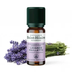 LAVANDE MAILLETTE