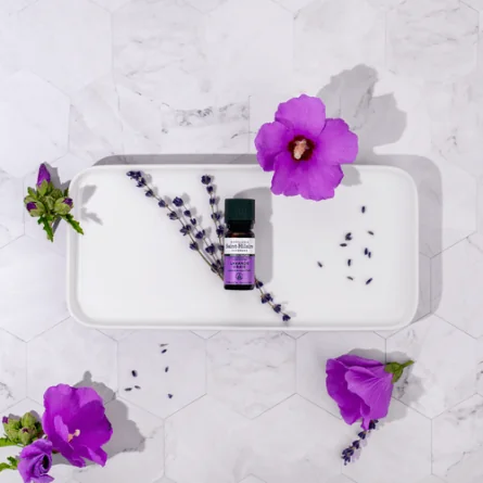 LAVANDE VRAIE – Image 2