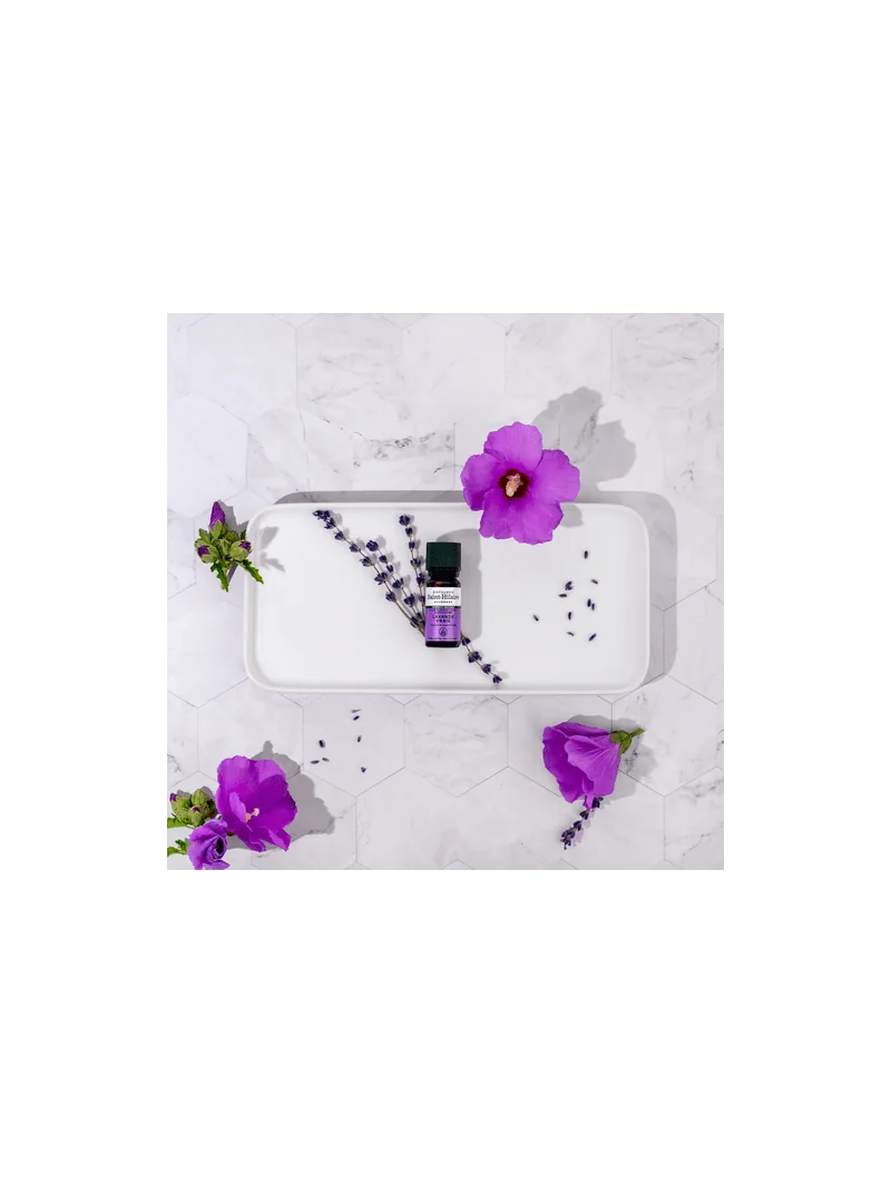 LAVANDE VRAIE – Image 5