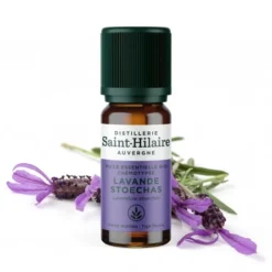 LAVANDE STOECHAS