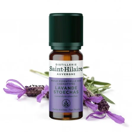 LAVANDE STOECHAS