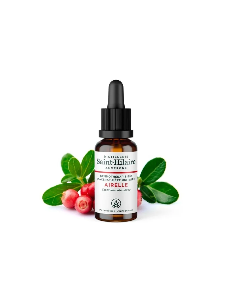 MACERAT D'AIRELLE BIO – Image 2