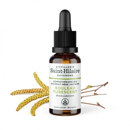 MACERAT DE BOULEAU...