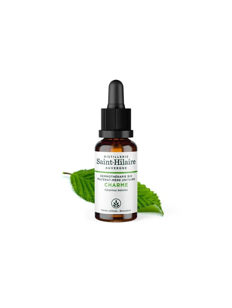 MACERAT DE CHARME BIO – Image 2