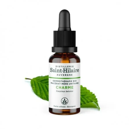MACERAT DE CHARME BIO