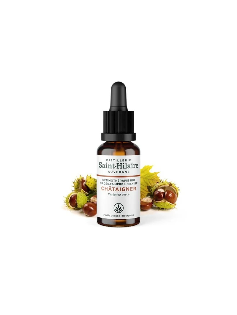 MACERAT DE CHATAIGNIER BIO – Image 2