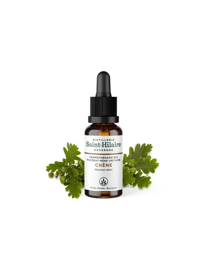 MACERAT DE CHENE BIO – Image 2