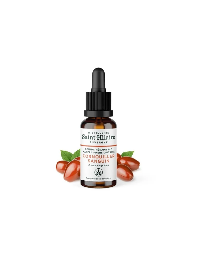 MACERAT DE CORNOUILLER BIO – Image 2