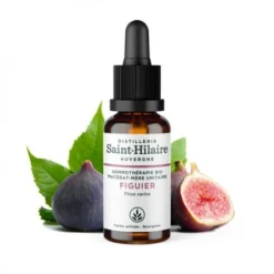 MACERAT DE FIGUIER BIO