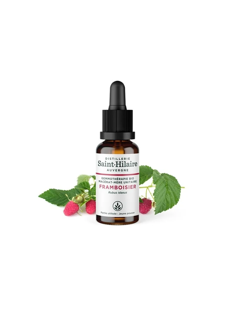 MACERAT DE FRAMBOISIER BIO – Image 2