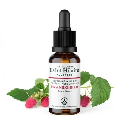 MACERAT DE FRAMBOISIER BIO