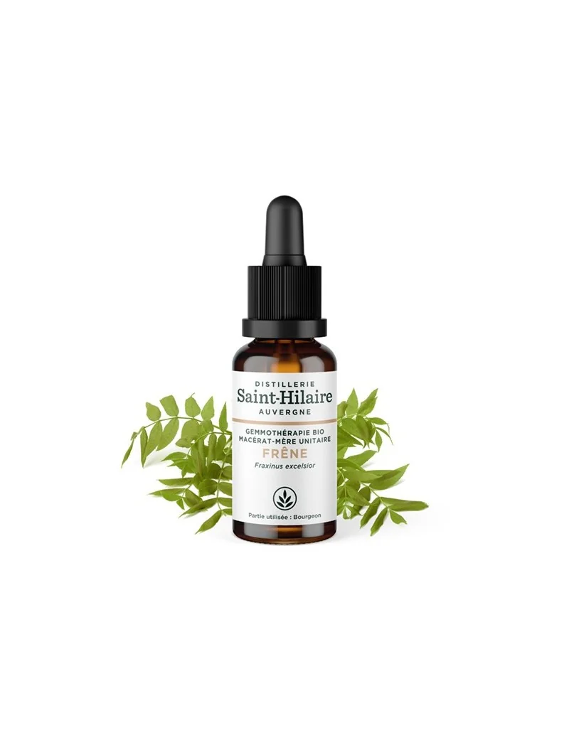 MACERAT DE FRENE BIO – Image 2