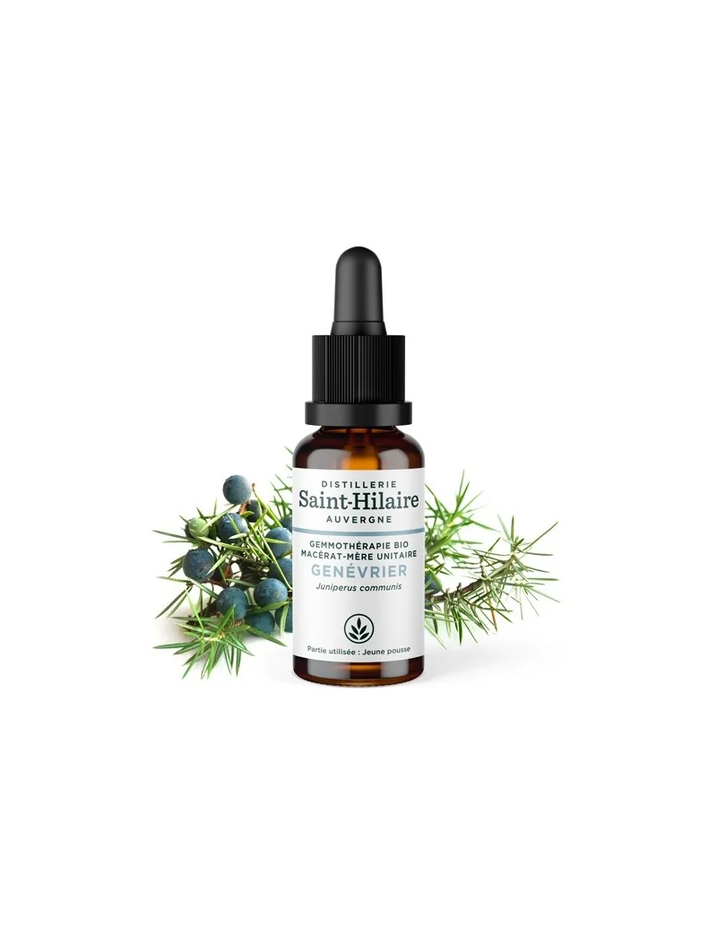 MACERAT DE GENEVRIER BIO – Image 2