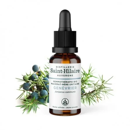 MACERAT DE GENEVRIER BIO