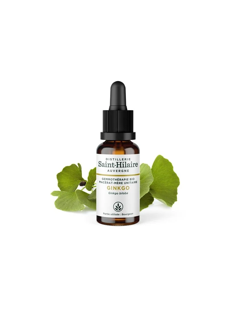 MACERAT DE GINKGO BIO – Image 2