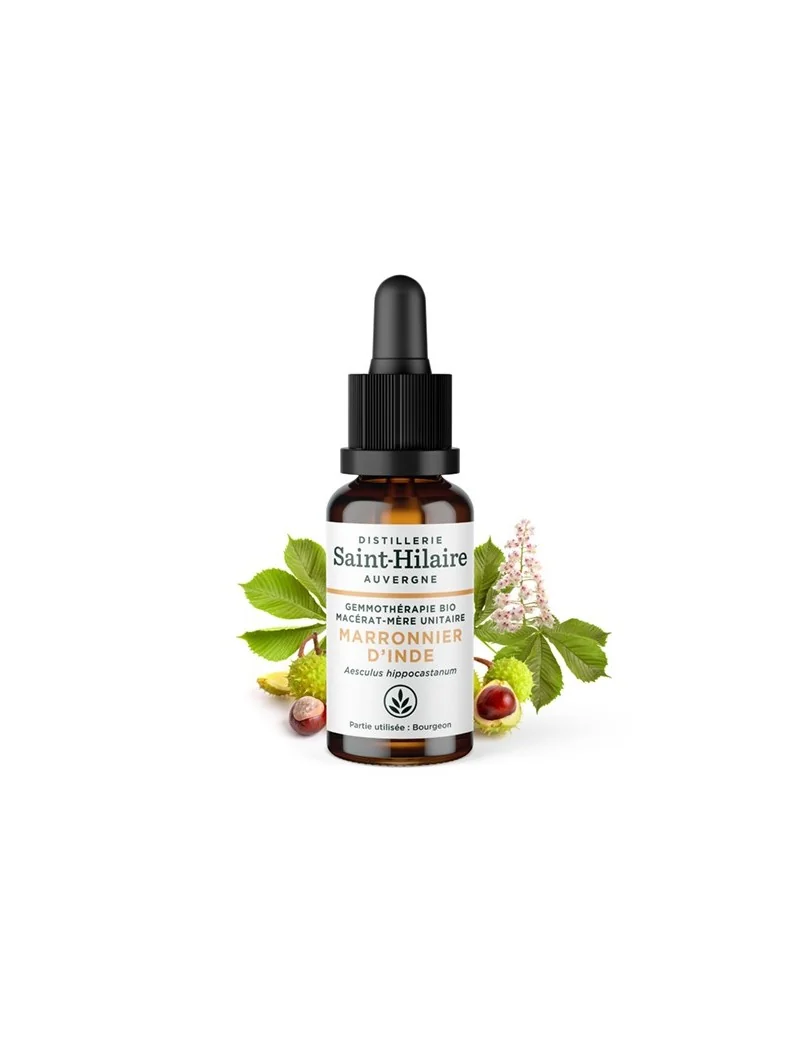 MACERAT DE MARRONNIER BIO – Image 2