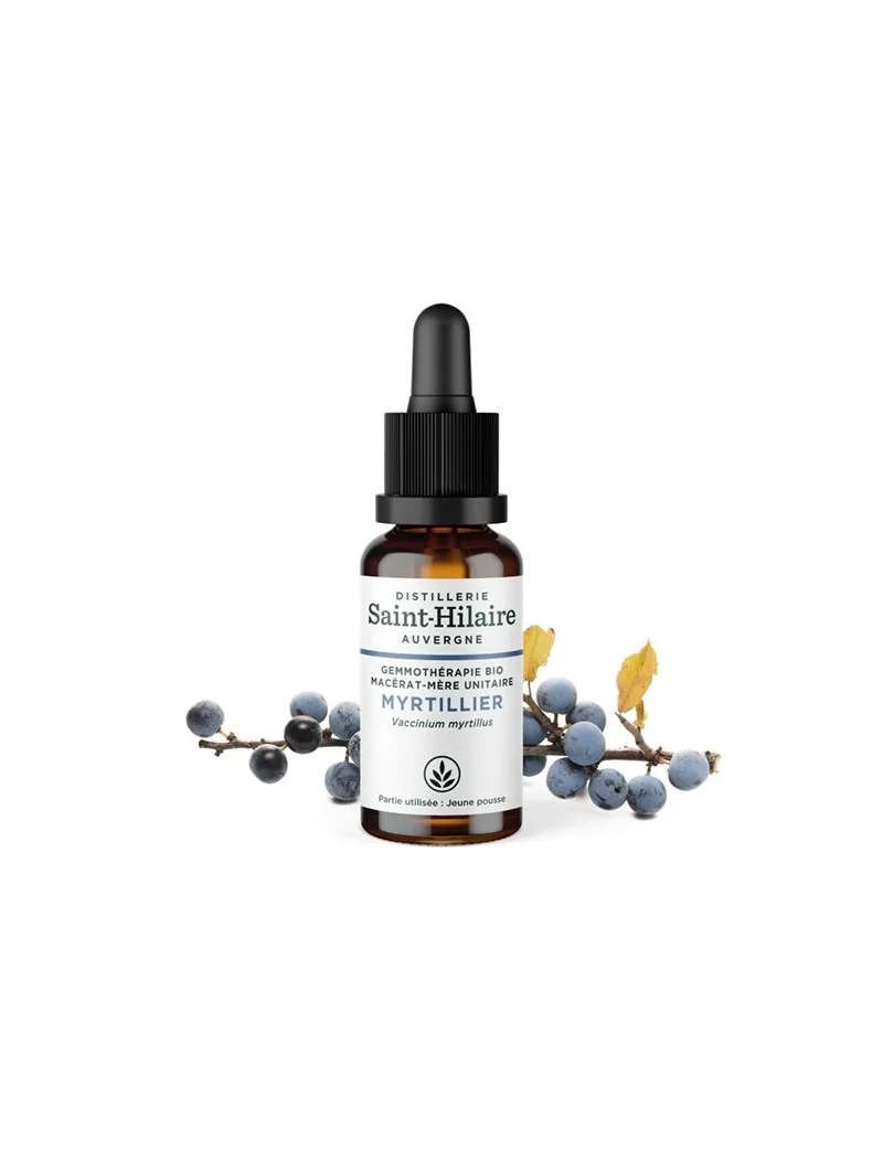 MACERAT DE MYRTILLIER BIO – Image 2