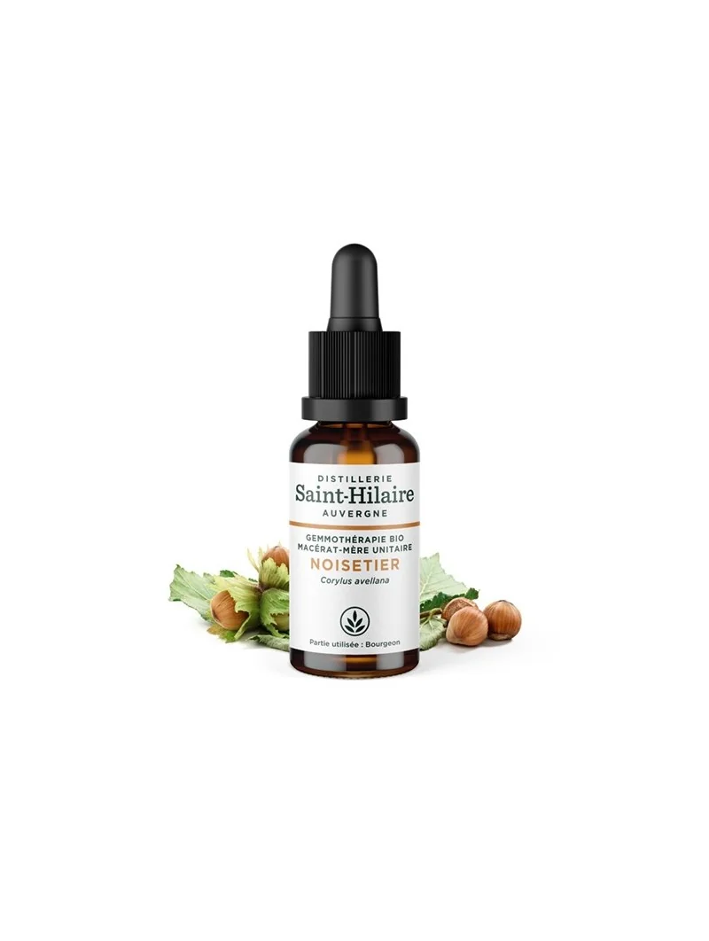 MACERAT DE NOISETIER BIO – Image 2