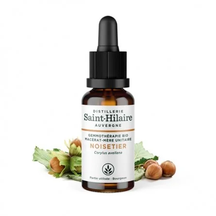 MACERAT DE NOISETIER BIO