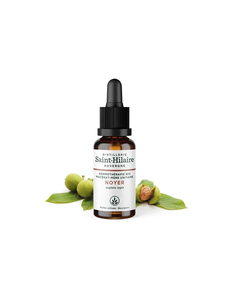 MACERAT DE NOYER BIO – Image 2
