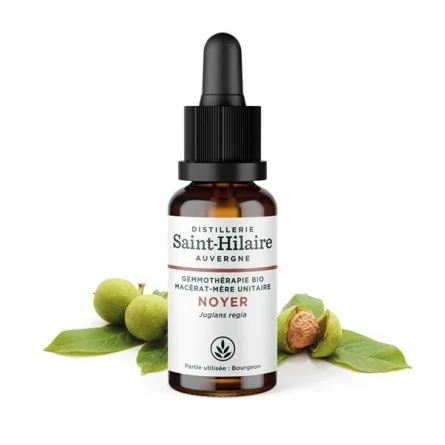 MACERAT DE NOYER BIO