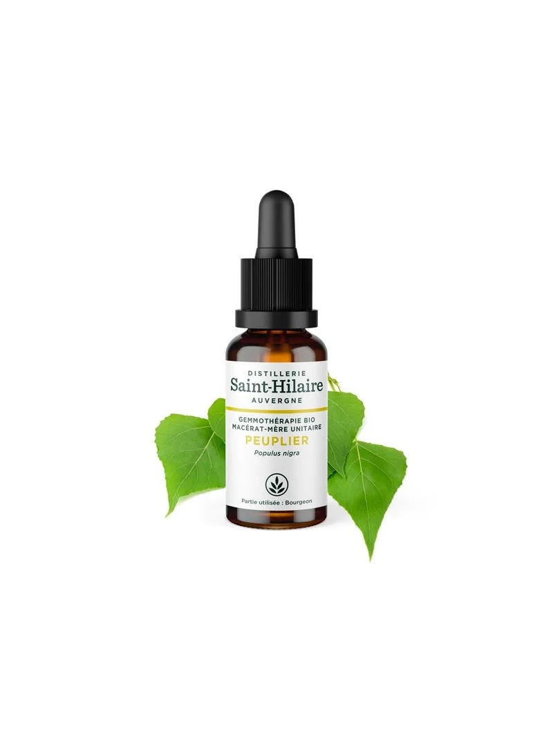 MACERAT DE PEUPLIER BIO – Image 2