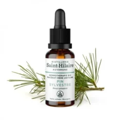 MACERAT DE PIN SYLVESTRE BIO