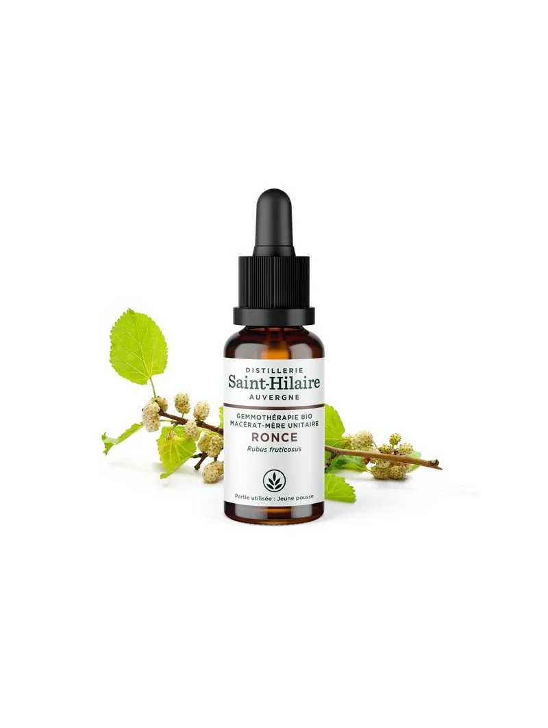 MACERAT DE RONCE BIO – Image 2