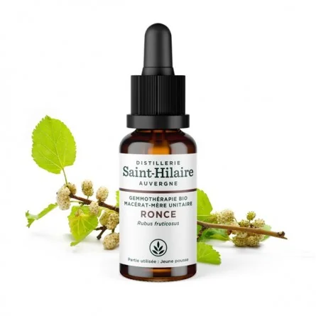 MACERAT DE RONCE BIO