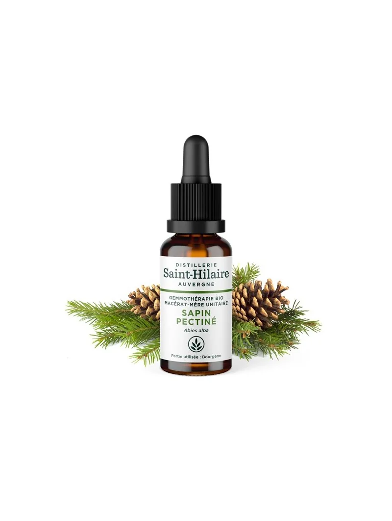 MACERAT DE SAPIN PECTINE BIO – Image 2