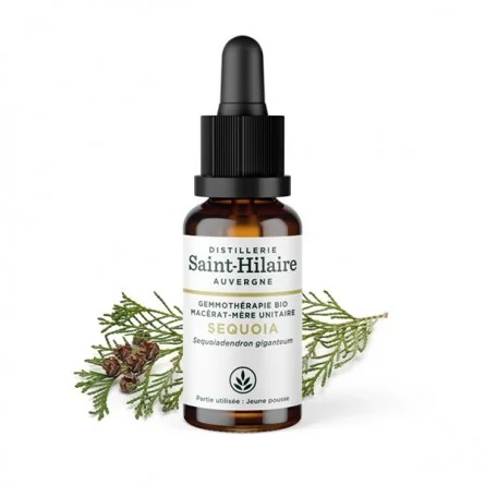 MACERAT DE SEQUOIA BIO