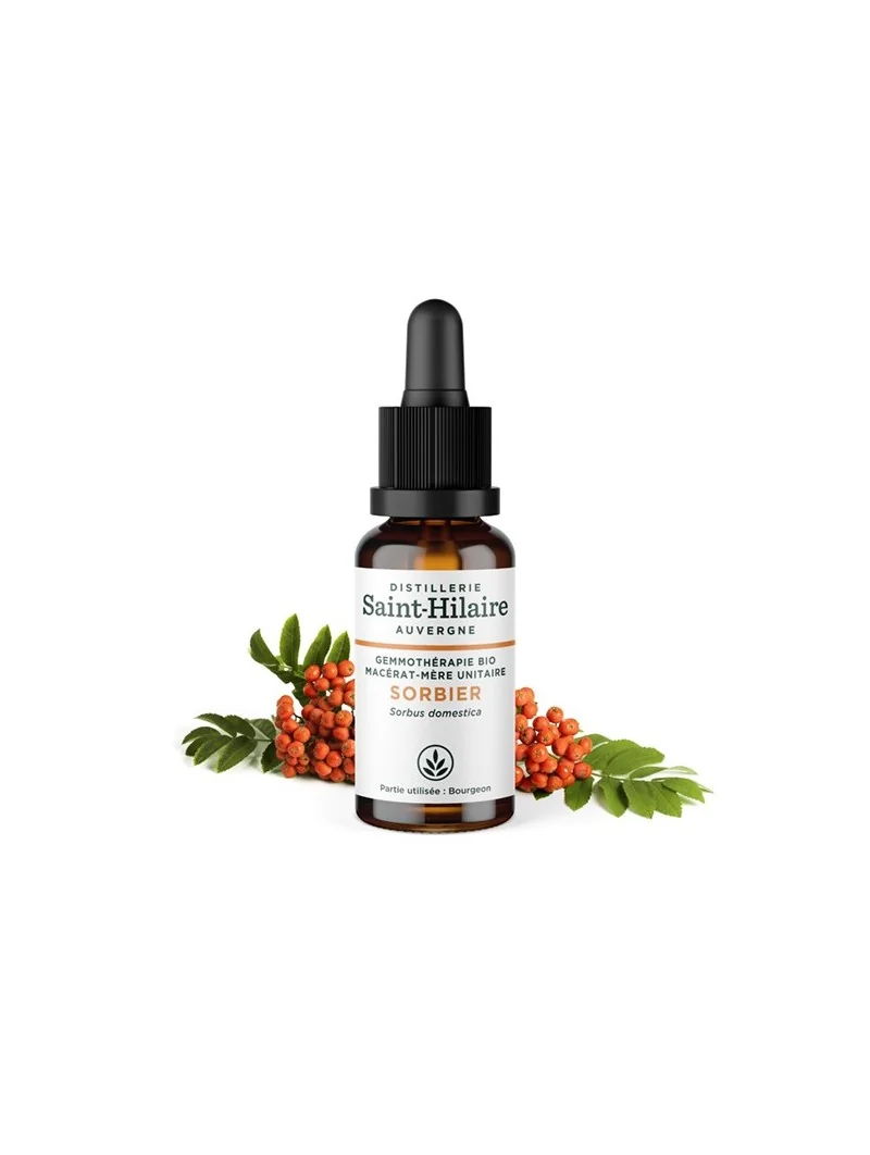 MACERAT DE SORBIER BIO – Image 2
