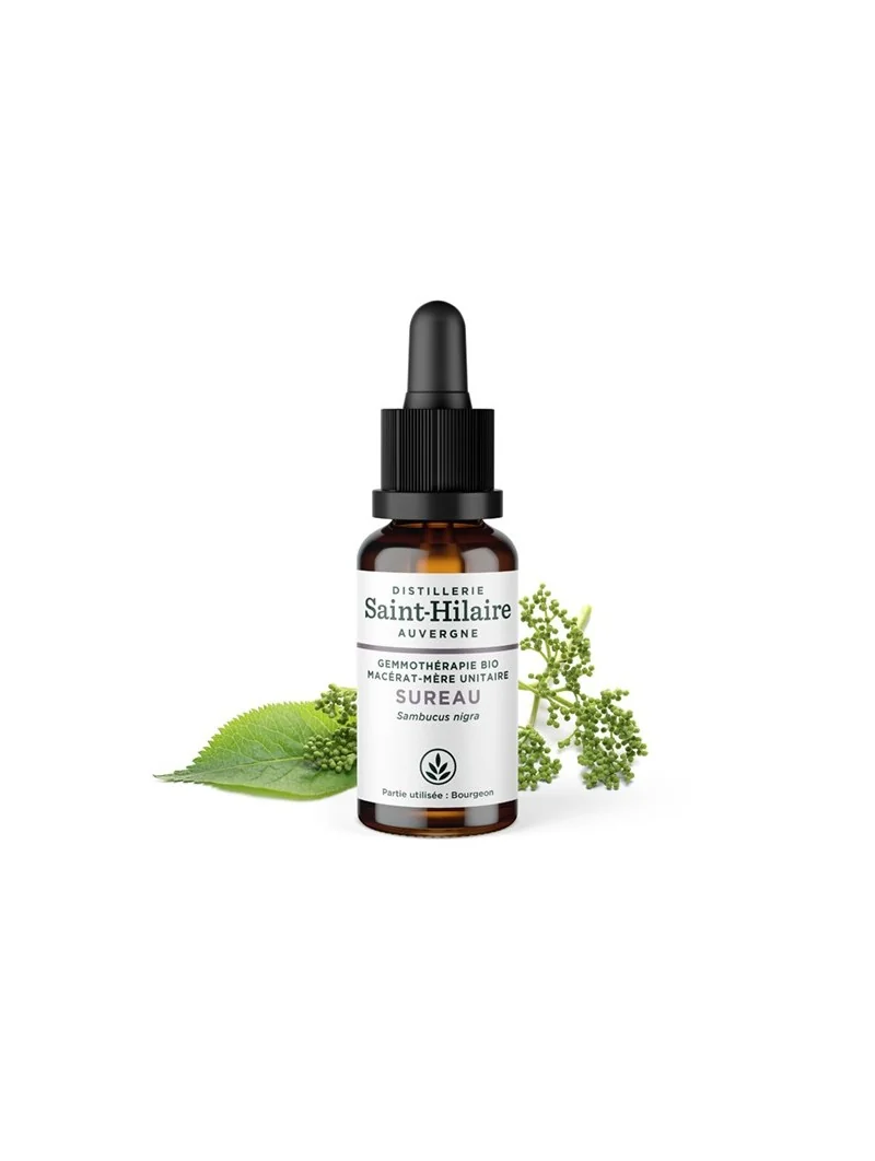 MACERAT DE SUREAU BIO – Image 2