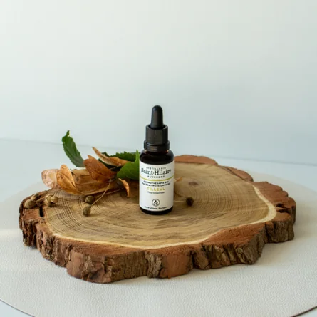 MACERAT DE TILLEUL BIO – Image 3
