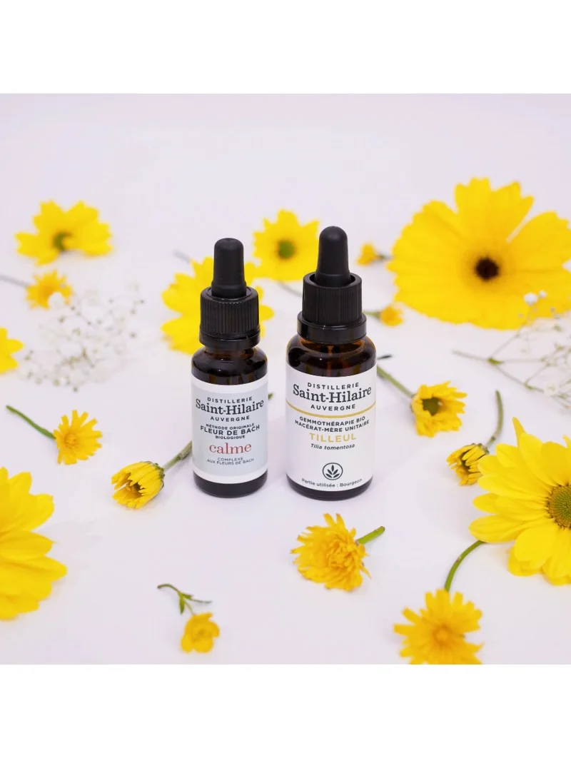 MACERAT DE TILLEUL BIO – Image 5