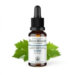 MACERAT DE VIGNE BIO