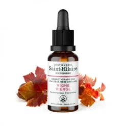 MACERAT DE VIGNE VIERGE BIO