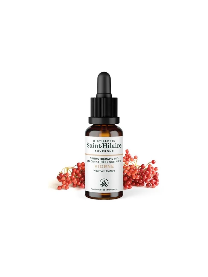 MACERAT DE VIORNE BIO – Image 3