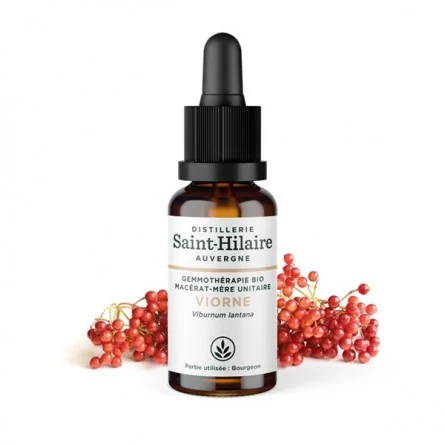 MACERAT DE VIORNE BIO
